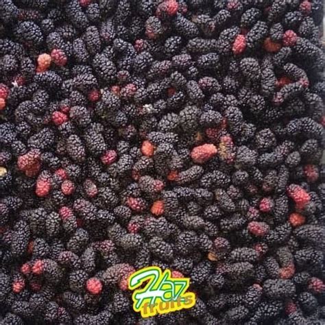 where to buy frozen mulberries.